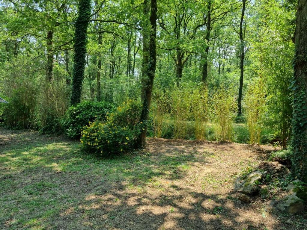 Les Chalets De Saumur, Piscine & Parc Boise, 100M Du Cadrenoir Экстерьер фото
