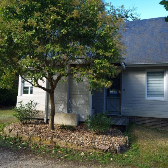 Les Chalets De Saumur, Piscine & Parc Boise, 100M Du Cadrenoir Экстерьер фото